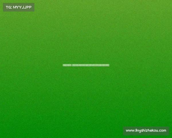 赛车赛事分类 一级方程式中国大奖赛火热开战上海赛道激情竞速巅峰对决